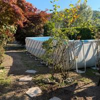 Piscina intex 7.33 x 3.66