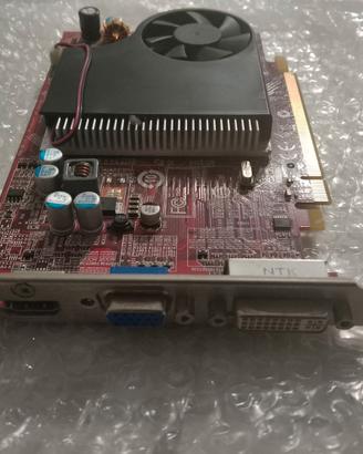 Scheda video  MSI DELPHINUS 2