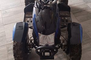 Mini quad 50