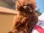 Immagine 3
