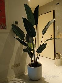 pianta artificiale 