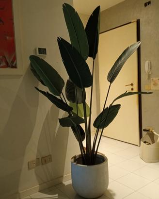pianta artificiale 