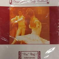 Scarpette da danza Sansha numero35/36