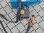 Immagine 2