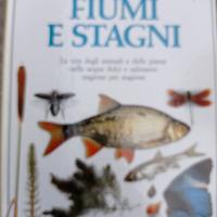 fiumi e stagni 