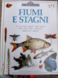 fiumi e stagni 