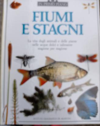 fiumi e stagni 