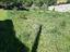 Immagine 19