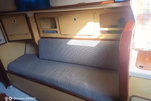 Barca a vela Alpha 9.50