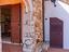 Immagine 26