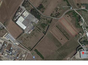 Terreno agricolo in piano