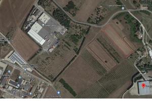 Terreno agricolo in piano