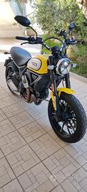 Ducati Scrambler 800 icon