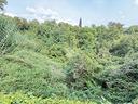 ter-agricolo-a-airuno