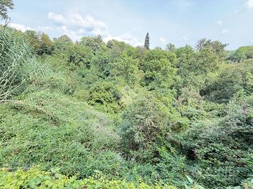 TER. AGRICOLO A AIRUNO