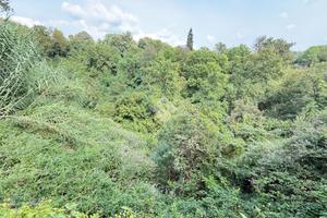 TER. AGRICOLO A AIRUNO
