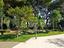 Immagine 28