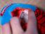 Immagine 6