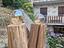 Immagine 2