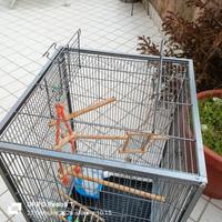 gabbia per pappagalli 