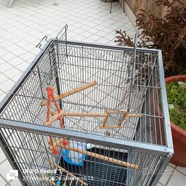 gabbia per pappagalli 