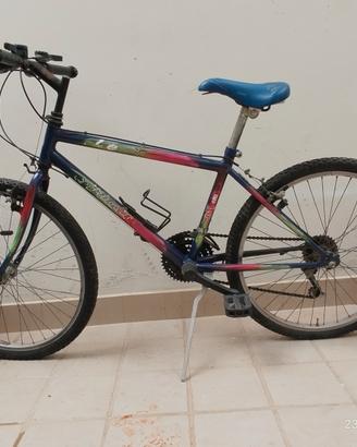 ATALA  24"