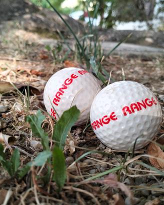 Set di 2 palline da golf bianche Range