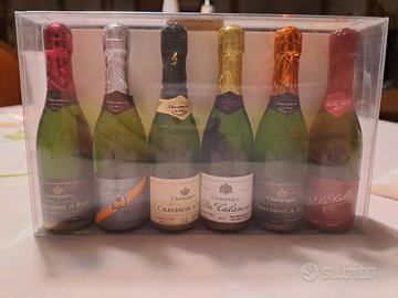collezione mignon champagne Alpa
