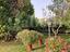 Immagine 20