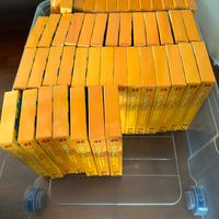 VHS “Vola vola vola l’ape Maia”