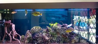 acquario 400 litri