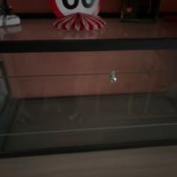 Terrario in vetro