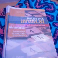 libro invalsi matematica (palestra invalsi)