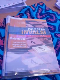 libro invalsi matematica (palestra invalsi)