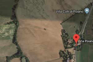 Terreno agricolo 80 biolche solo vendita