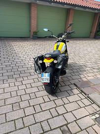 Ducati Scrambler Icon 800 gialla