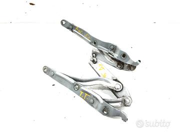 CERNIERE BAULE COFANO POSTERIORE DX SX AUDI TT Ser
