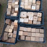 Cubotti in trucciolato