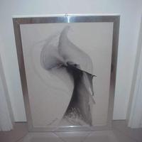 Stefano Colombo litografia cornice quadro firmato