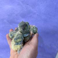 Pulli di inseparabili