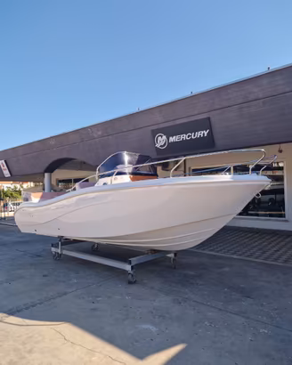 ALLEGRA ACTION 21 DN MERCURY F150 HP