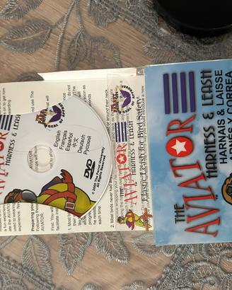 Pappagallo pettorina