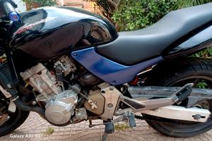 Honda hornet 600