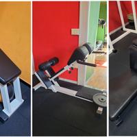 Body Building e Fitness: Panche Technogym, Panatta