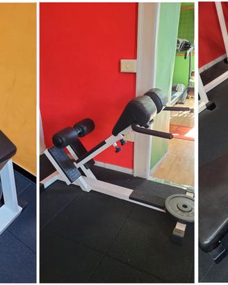 Body Building e Fitness: Panche Technogym, Panatta