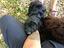 Immagine 2
