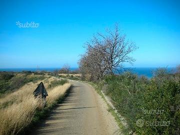 Lotti di Terreno in Rometta (ME)