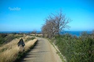 Lotti di Terreno in Rometta (ME)