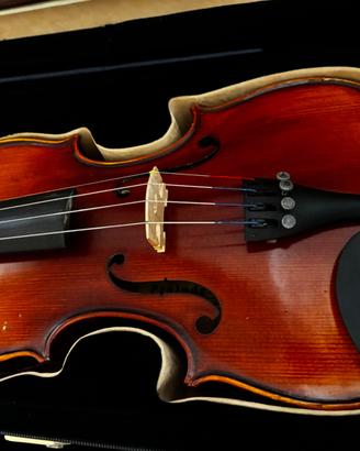 Violino 4/4