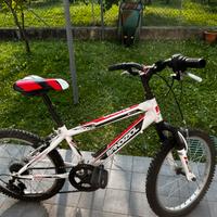 Mtb bambino bandiziol